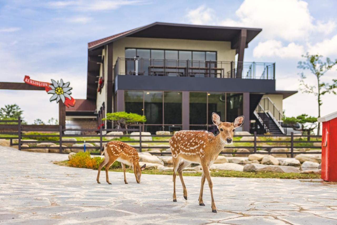 Kensington Resort Seorak Valley Sokcho Luaran gambar