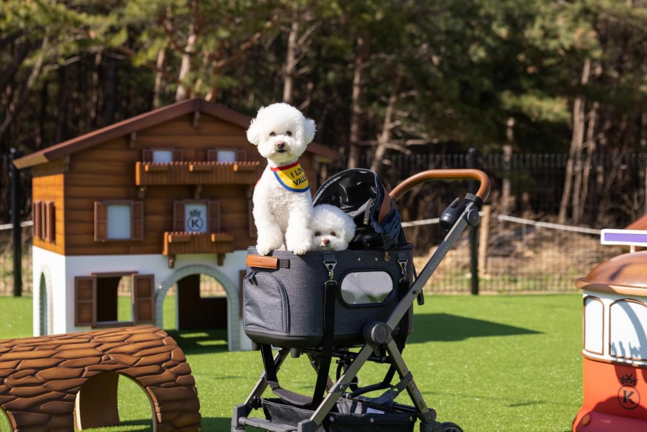 Kensington Resort Seorak Valley Sokcho Luaran gambar